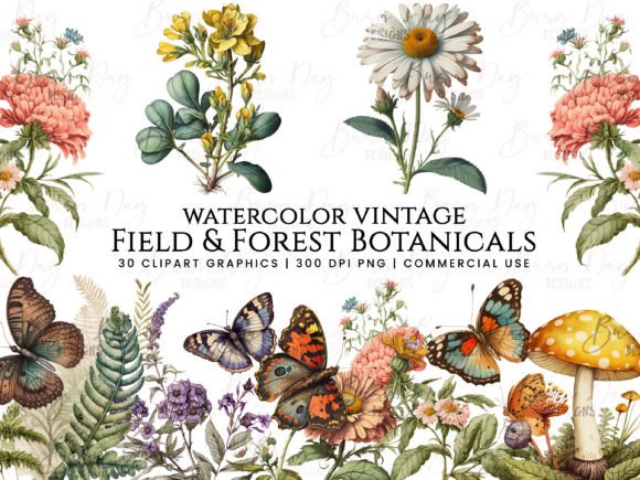 Download Field &amp; Forest Vintage Botanical Clipart - Botanical clipart Collection