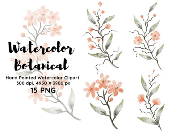 Download Watercolor Botanical Clipart PNG - Botanical clipart Collection