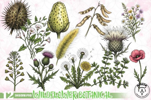 Download Wildflower Botanical Clipart PNG - Botanical clipart Collection